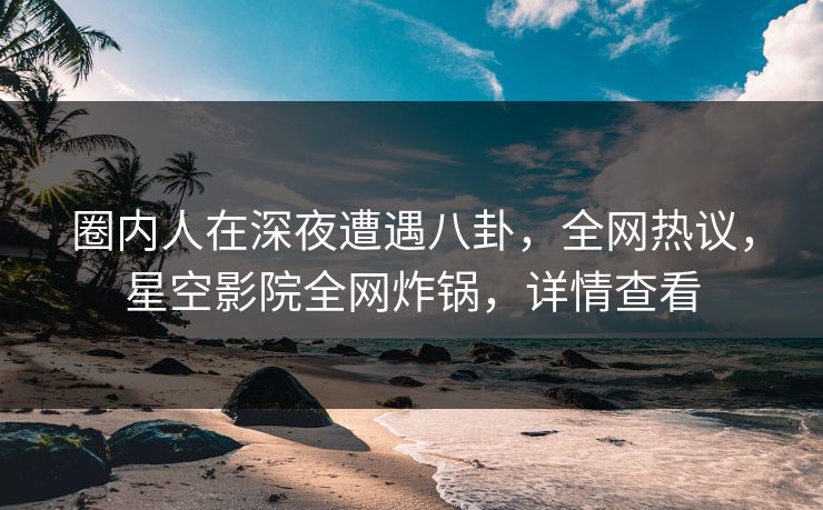圈内人在深夜遭遇八卦,全网热议,星空影院全网炸锅,详情查看