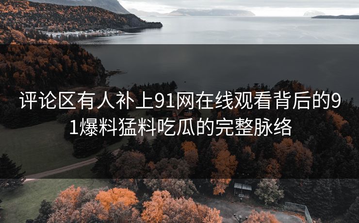 评论区有人补上91网在线观看背后的91爆料猛料吃瓜的完整脉络