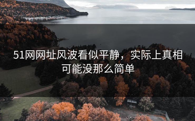 51网网址风波看似平静，实际上真相可能没那么简单